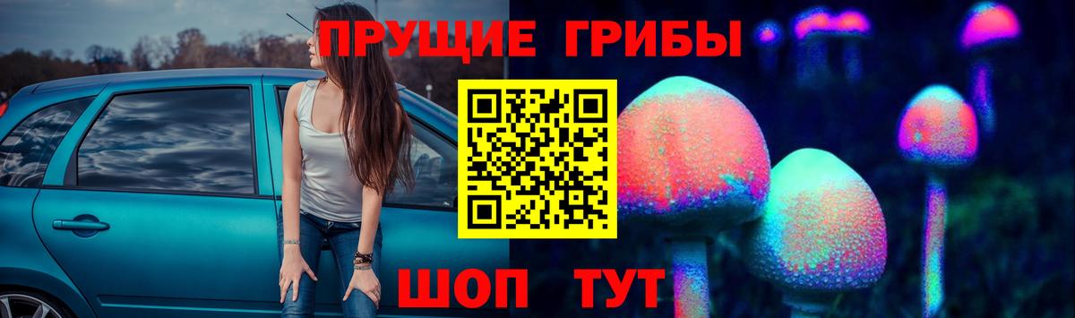 Галлюциногенные грибы GOLDEN TEACHER Волгодонск