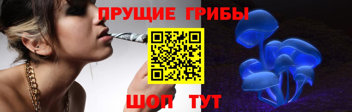 Псилоцибиновые грибы мицелий  Вход с VPN  Волгодонск 